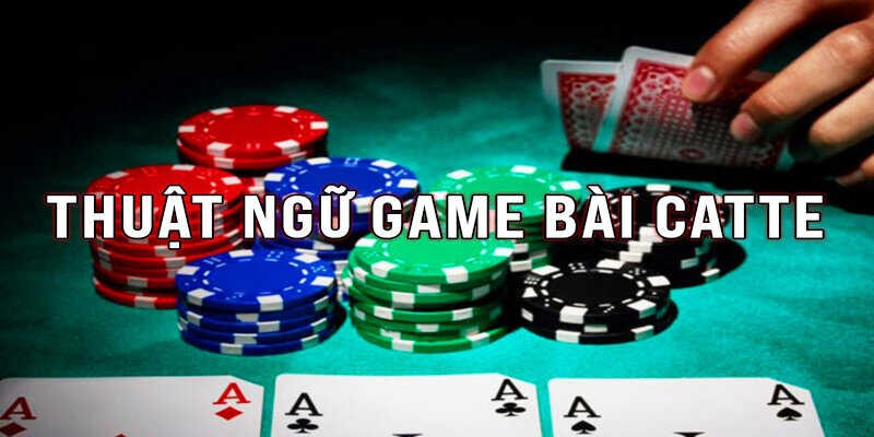 Cộng đồng Bài Catte đông đảo