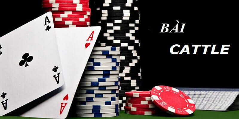 bài catte tại 89win