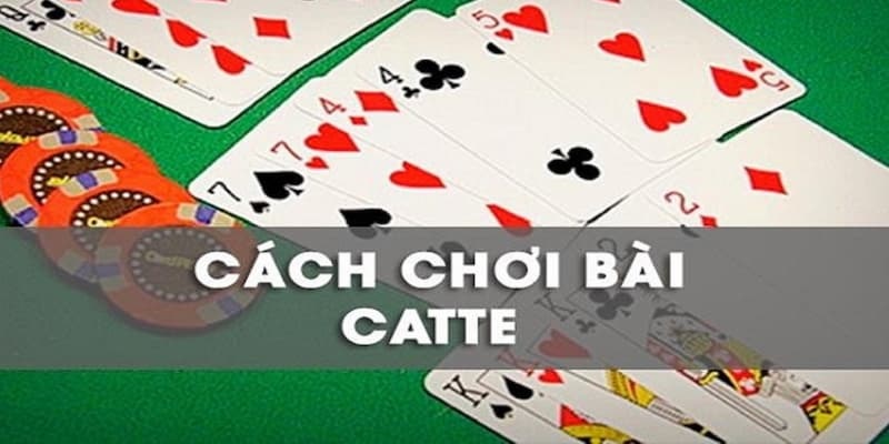 cách chơi bài catte hiệu quả