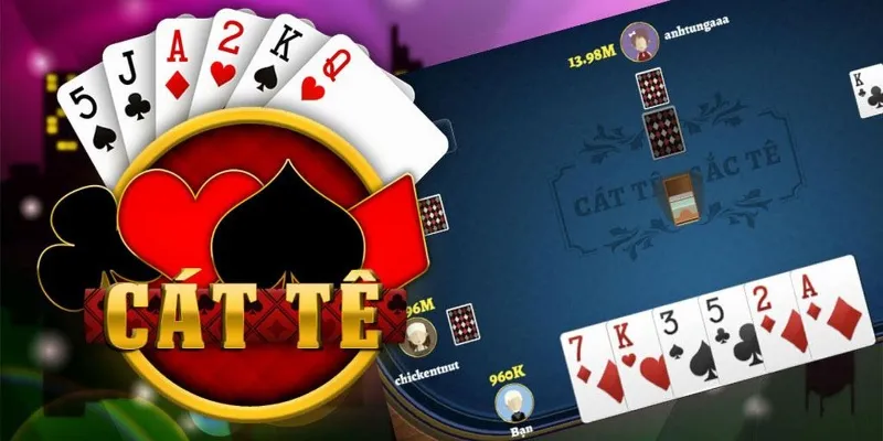 tổng quan về bài catte